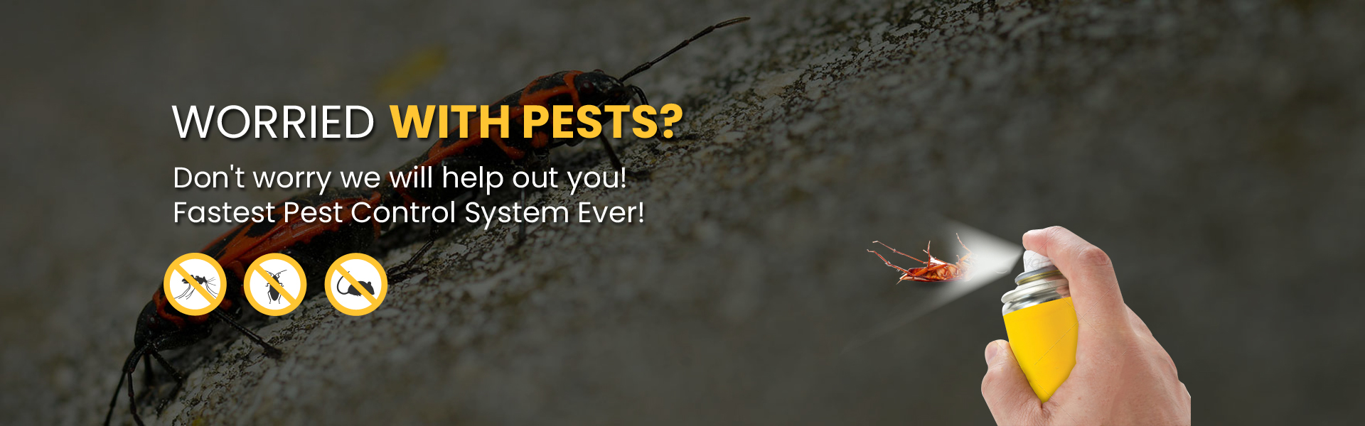 Pest Control services in Mississauga